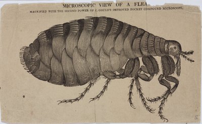 Microscopie - Unbekannt