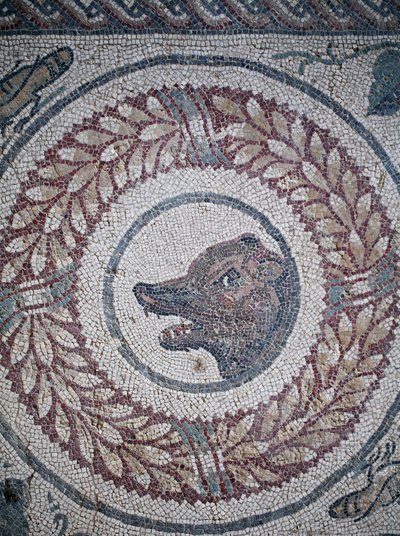 Mosaïque du péristyle. Détail représentant une tête d