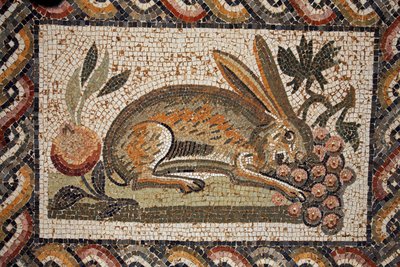 Mosaïque représentant un lièvre avec un regard espion broutant une grappe de raisins (2e moitié du IIe siècle ap. J.-C.) / in situ à El Jem (Antique Thysdrus) / Tunisie - Unbekannt