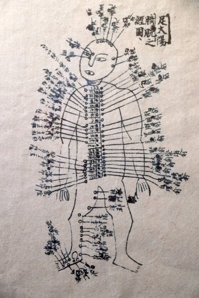 Musée de la Médecine Traditionnelle Vietnamienne, Les canaux et vaisseaux, Livre d
