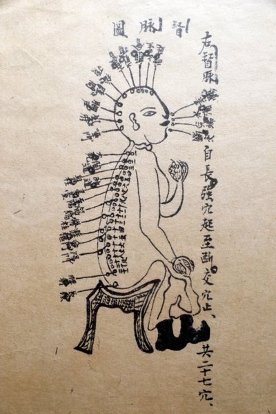 Musée de la médecine traditionnelle vietnamienne, Les canaux et vaisseaux, Livre d