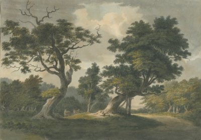 Forêt de Needwood : aquarelle, nd [début du 19e siècle] - Unbekannt