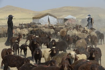 Tentes nomades entre Tamar et Ashkhaneh, Iran 2022 - Unbekannter Künstler