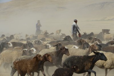 Tentes nomades entre Tamar et Ashkhaneh, Iran 2022 - Unbekannter Künstler