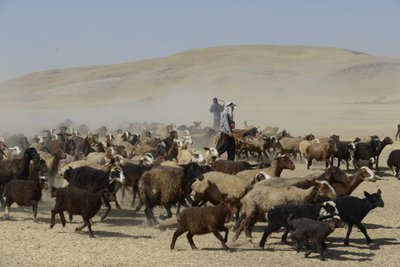 Tentes nomades entre Tamar et Ashkhaneh, Iran 2022 - Unbekannter Künstler