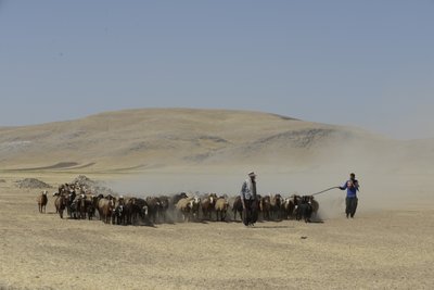 Tentes nomades entre Tamar et Ashkhaneh, Iran 2022 - Unbekannter Künstler