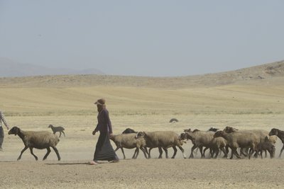 Tentes nomades entre Tamar et Ashkhaneh, Iran 2022 - Unbekannter Künstler