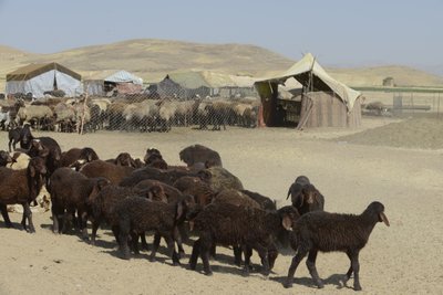 Tentes nomades entre Tamar et Ashkhaneh, Iran 2022 - Unbekannter Künstler