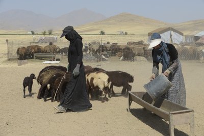 Tentes Nomades entre Tamar et Ashkhaneh, Iran 2022 - Unbekannter Künstler