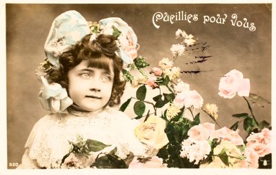 Cueilli pour vous, rose - William M. Timlin