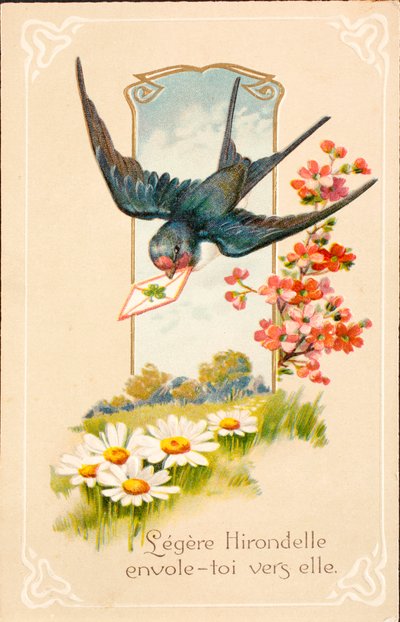 Vieille carte postale / Hirondelle / Message - Unbekannt