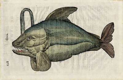 Orque (représentation monstrueuse de l