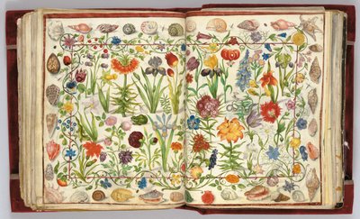 Pages de l