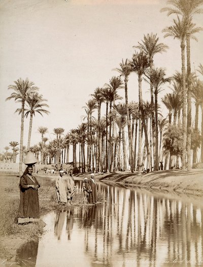 Palmiers le long du Nil. Au premier plan, des hommes en costume traditionnel - Unbekannter Künstler
