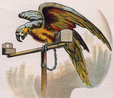 Perroquet sur un perchoir. Gravure dans "ABC L