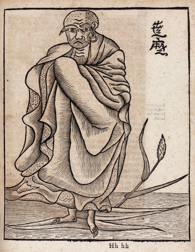 Portrait de Bodhidharma - Unbekannt