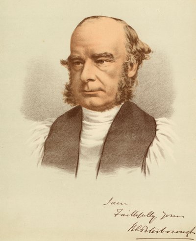 Portrait de William Magee - Unbekannter Künstler