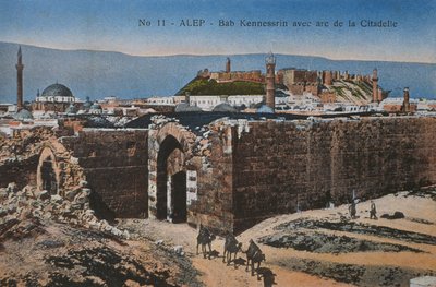 Carte postale représentant Bab Quinnasrin et la Citadelle d