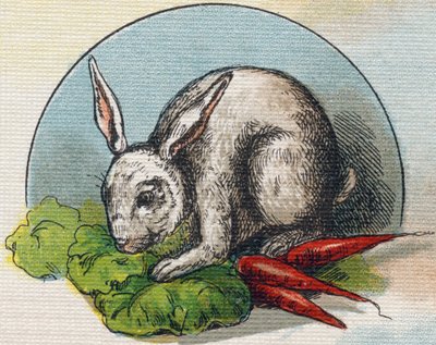 Lapin mangeant une carotte. Gravure dans "Alphabet de ma petite fille". Bernardin-Béchet et Fils, libraires-éditeurs, Paris, vers 1895. Album incassable sur toile. Bibliothèque des Bébés. - Unbekannt