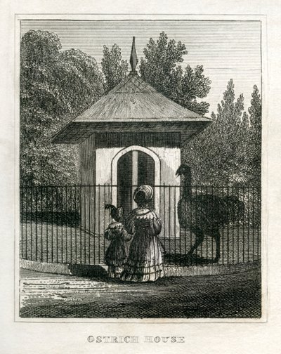 Zoo de Regent