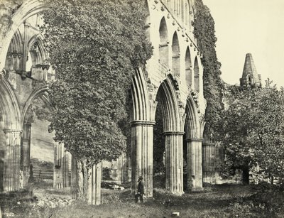 Abbaye de Rievaulx, North Yorkshire, Royaume-Uni - Unbekannter Künstler
