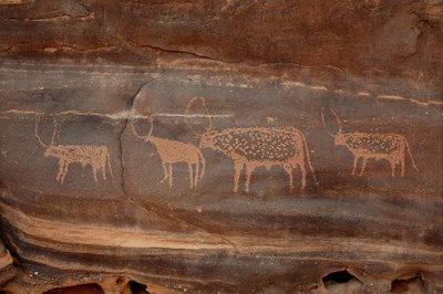 Art rupestre, Préhistoire : Gravure de quatre bovins dans le massif de l