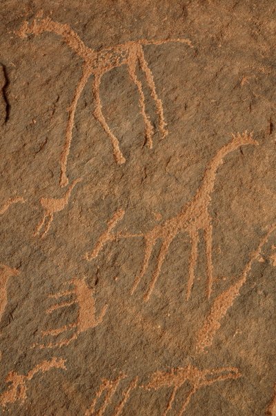 Art rupestre, Préhistoire : Gravure de girafes, autruches, autres animaux et personnages dans le massif de l