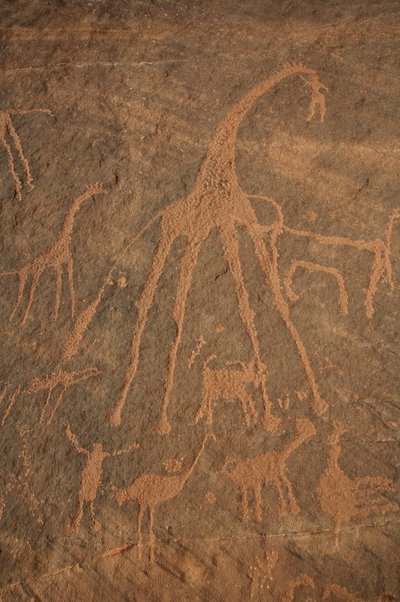 Art rupestre, Préhistoire : Gravure de girafes, autruches, moutons et personnages dans le massif de l