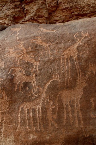 Art rupestre, Préhistoire : Gravure de girafes, autruches, moutons, chien et personnage dans le massif de l