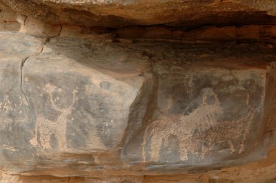 Art rupestre, Préhistoire : Gravure de trois bovins dans le massif de l