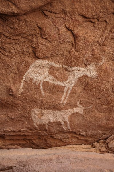 Art rupestre, Préhistoire : Peinture rupestre de deux vaches à longues cornes dans un abri orné, dans le massif de l