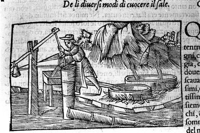 Production de sel : cuisson. Gravure par Olaus Magnus (1490-1557), religieux et géographe suédois, « Historia de Gentis Septentrionalibus », Venise - Unbekannt