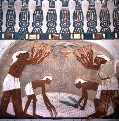 Scène de battage du blé, tombe de Nakht, salle des tombes des nobles. Vallée des Nobles. Site de Louxor, Égypte - Leopold Blonder