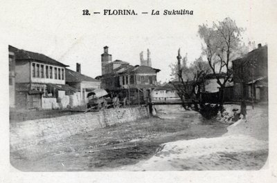 Serbie, Florina (actuelle Grèce) : vue de la Sukulina - Carte postale 1914-1918 - William M. Timlin