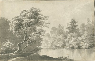 Shenstone - Étang près de Little Aston: dessin lavis sépia, nd [19e siècle] - Unbekannt