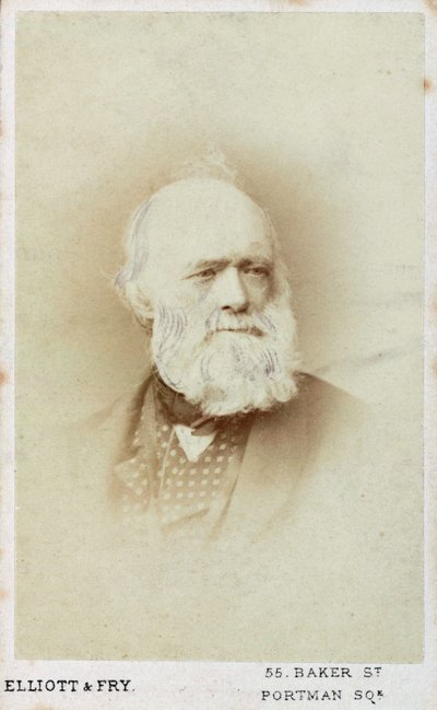 Sir Charles Lyell, géologue anglais, vers 1865-1875 - Unbekannt