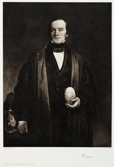 Sir Richard Owen, naturaliste et paléontologue anglais, vers 1845 - Unbekannt