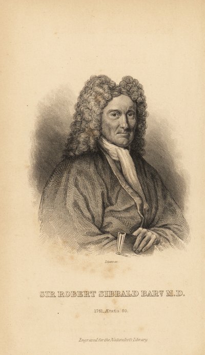 Sir Robert Sibbald, naturaliste et antiquaire écossais - Unbekannt
