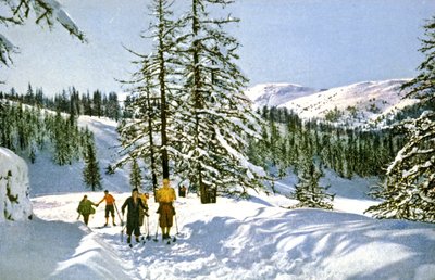 Randonnée à ski sur la Côte d