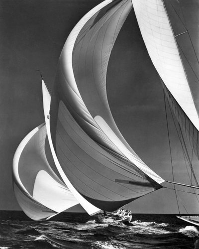 Spinnakers sur des voiliers de course - Unbekannter Künstler