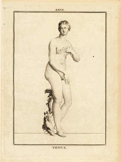 Statue de Vénus, déesse romaine de l
