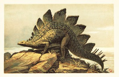 Stegosaurus, genre éteint de dinosaure herbivore - Unbekannter Künstler