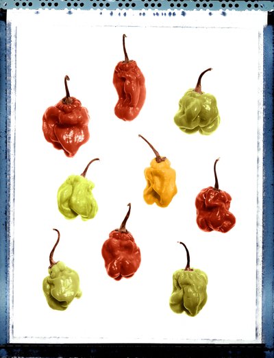 Nature morte de poivrons jaunes, rouges et verts - Unbekannt