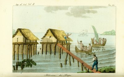 Maisons sur pilotis dans l