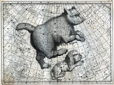 Les constellations boréales : la Grande Ourse et le Petit Lion. Gravure tirée de « Les étoiles et les autres curiosités du ciel » de Camille Flammarion - Unbekannt