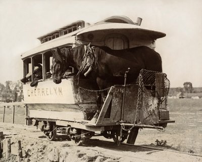 Le Cherrelyn Horse Car, Denver, Colorado, vers 1890 (photo n/b) - Nicolas Liez