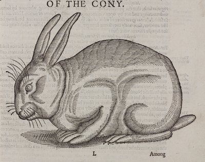 Le Cony - Unbekannt