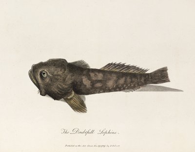 Le Lophius douteux - Unbekannter Künstler