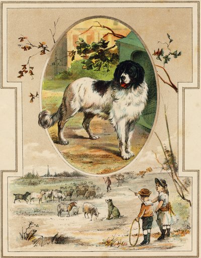 Le chien. Gravure dans "Mon premier Grand Alphabet". Édition Bernardin-Bechet, Paris, vers 1890. Illustrations par A. des Lilleuls. Pas de page, 46 pages. Dim : 31x22 cm. - Unbekannt