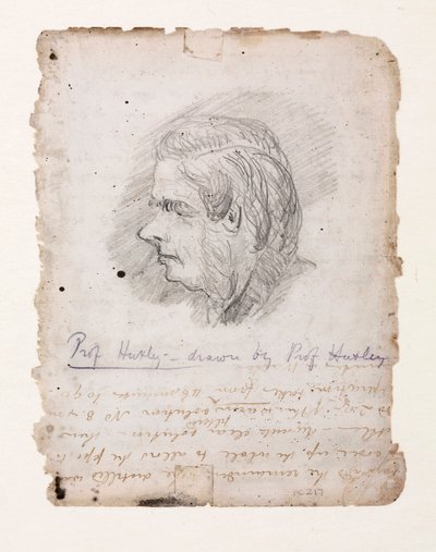 Thomas Henry Huxley, biologiste anglais, milieu-fin 19e siècle - Unbekannt